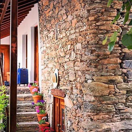 Dos Cedros Hébergement de vacances Pereira (Braganca)