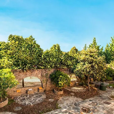 Dos Cedros * Pereira (Braganca)