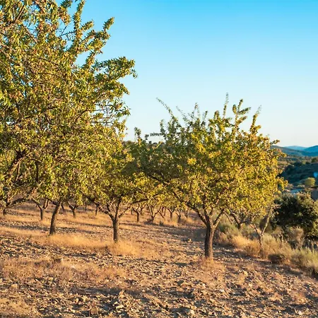 Dos Cedros Pereira (Braganca)