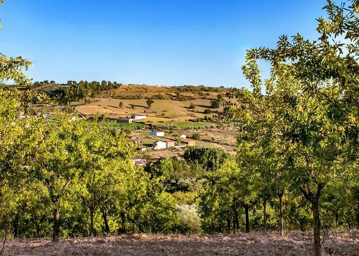 Dos Cedros * Pereira (Braganca)